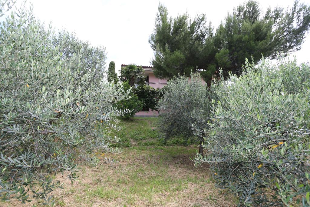 Mejak & Bordon Villa Sečovlje Kültér fotó